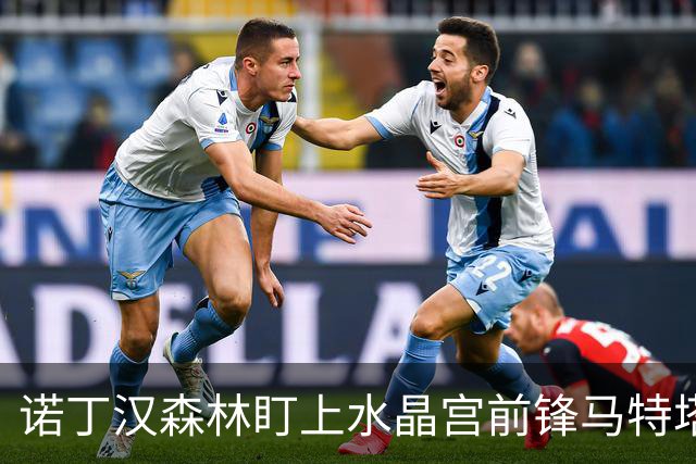 诺丁汉森林盯上水晶宫前锋马特塔，上赛季他进了16个球