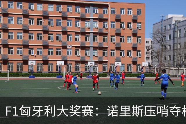 F1匈牙利大奖赛：诺里斯压哨夺杆